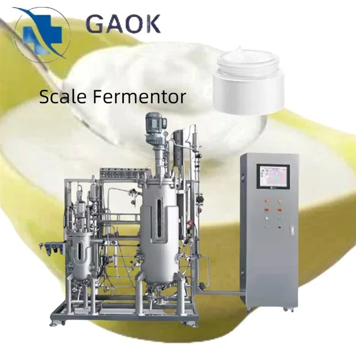 Dairy processing lines