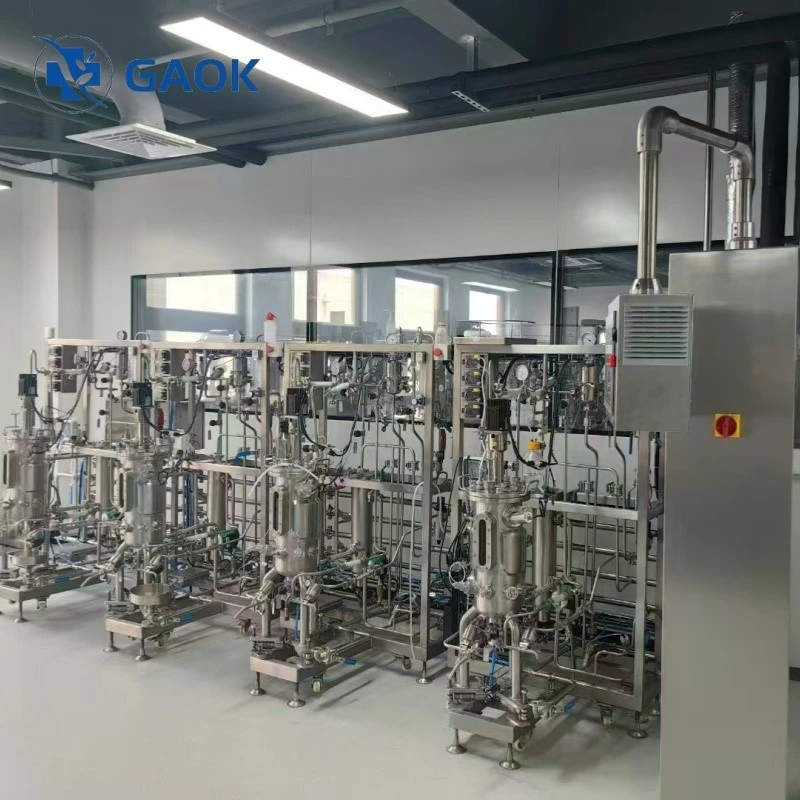 10L bioreactor 10L bioreactor
