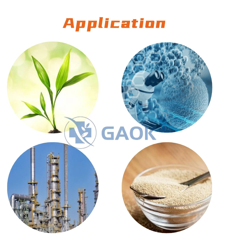 application application