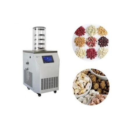 Mini  Home use Vacuum Freeze Dryer