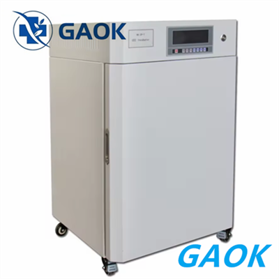 Co2 Shaker Incubator